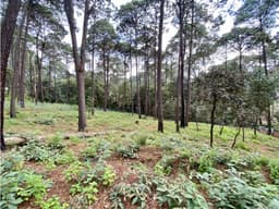 TERRENO EN VENTA AVANDARO