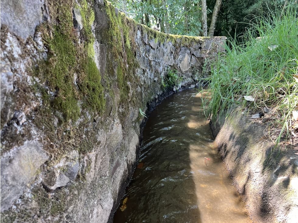 TERRENO EN VENTA SAN RAMÓN CON AGUA DE RIEGO — foto 5