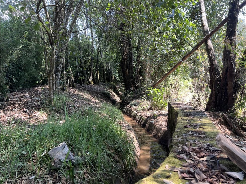 TERRENO EN VENTA SAN RAMÓN CON AGUA DE RIEGO — foto 2