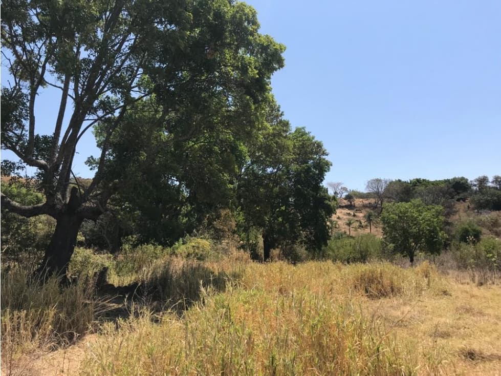 TERRENO EN VENTA SAN JUAN ATEZCAPAN — foto 1