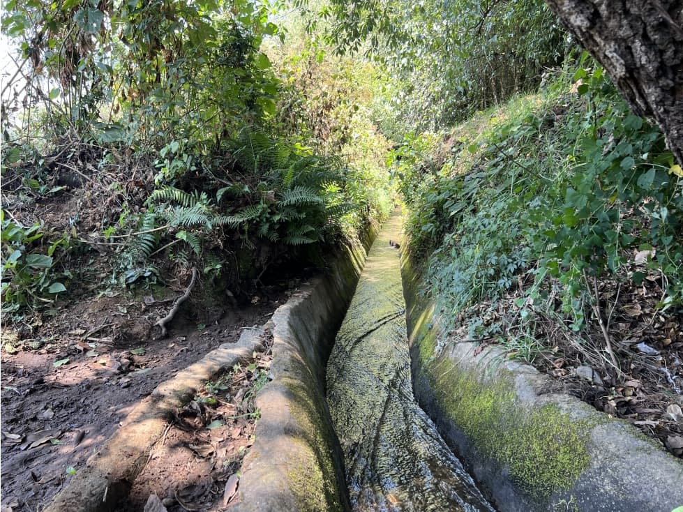 TERRENO EN VENTA SAN RAMÓN CON AGUA DE RIEGO — foto 6