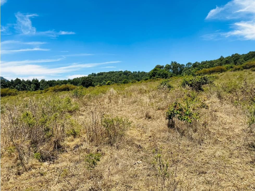 TERRENO VENTA EL MANZANO VALLE DE BRAVO — foto 6