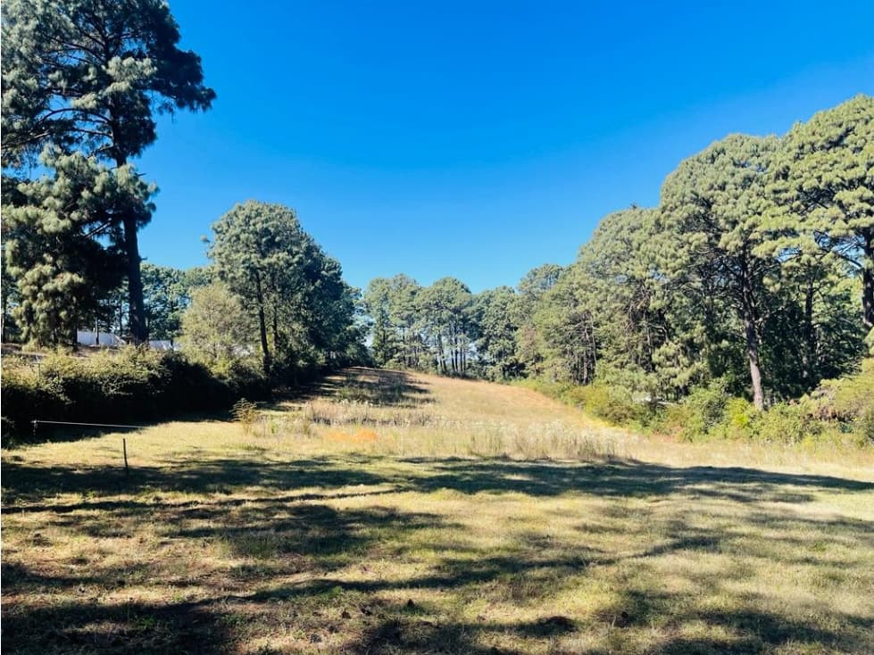 TERRENO CERRO COLORADO — foto 5