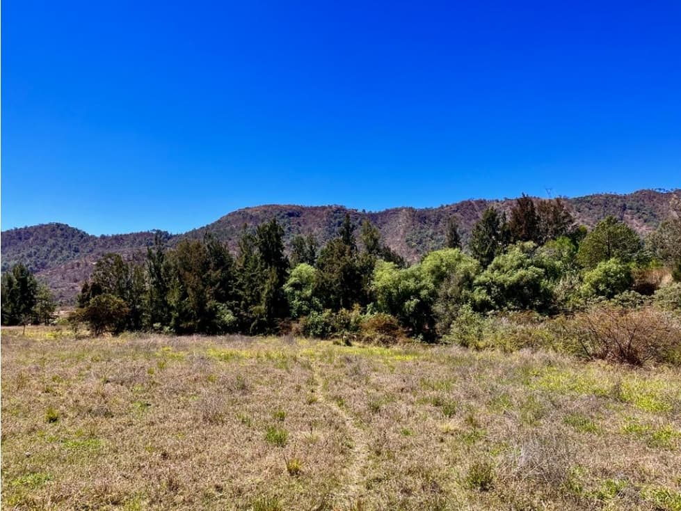 TERRENO EN VENTA, TILOXTOC, VALLE DE BRAVO — foto 6