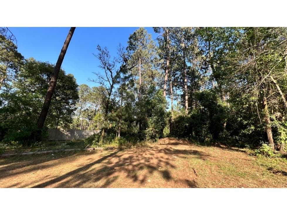 TERRENO CERRO GORDO LOTE #4 — foto 3