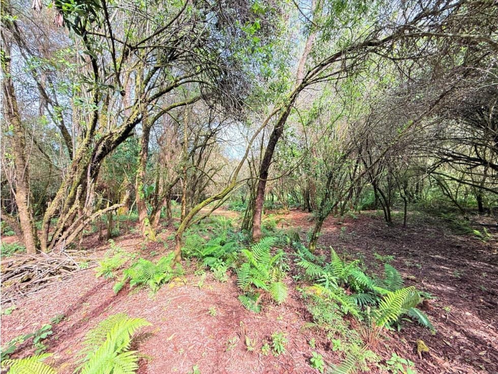 TERRENO VALLE SANTANA — foto 4