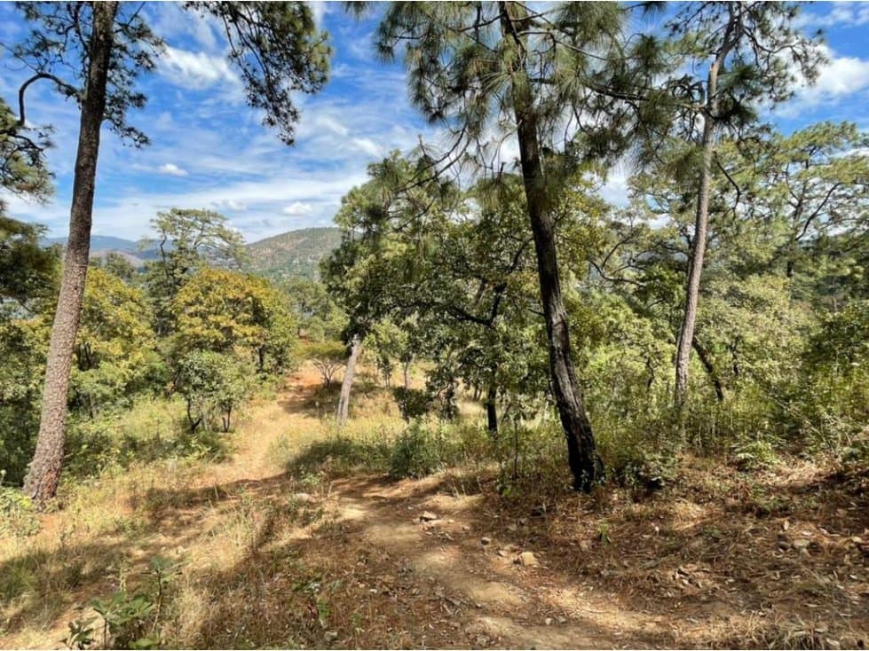 TERRENO AVANDARO, VISTA PARCIAL AL LAGO (COMUNAL) — foto 4