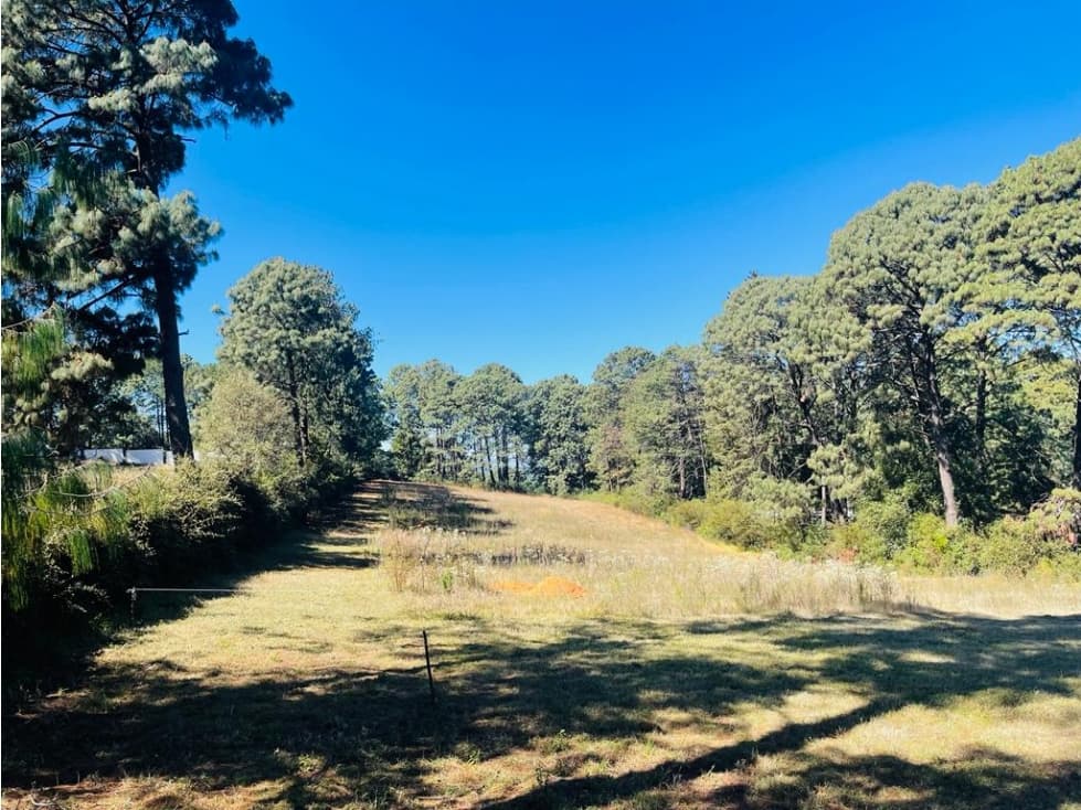TERRENO CERRO COLORADO — foto 3