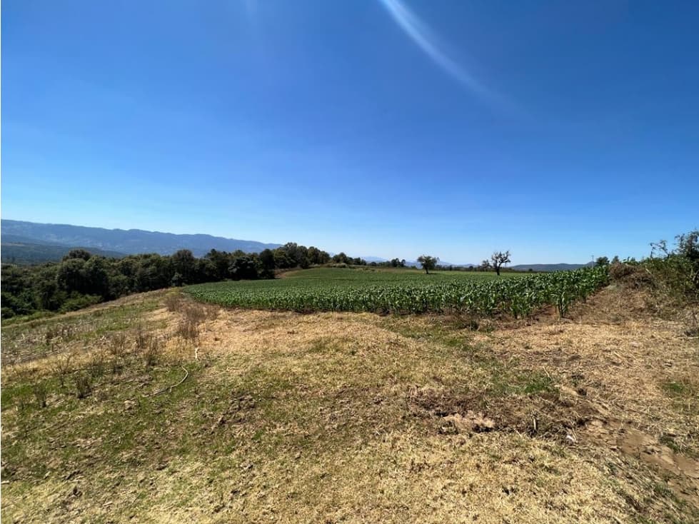 TERRENO 16 HECTÁREAS, MESA DE DOLORES, VALLE DE BRAVO — foto 4