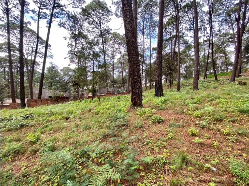 TERRENO EN VENTA AVANDARO — foto 3