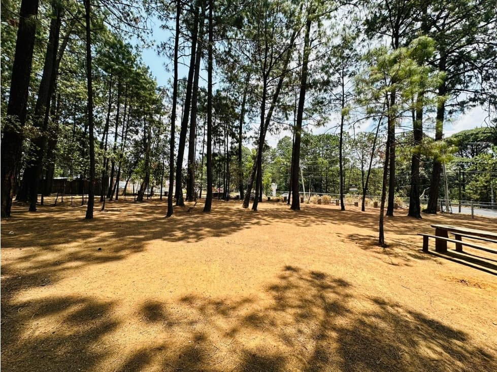 TERRENO CV — foto 3