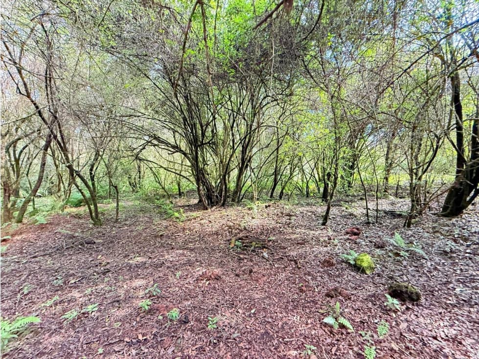 TERRENO VALLE SANTANA — foto 3