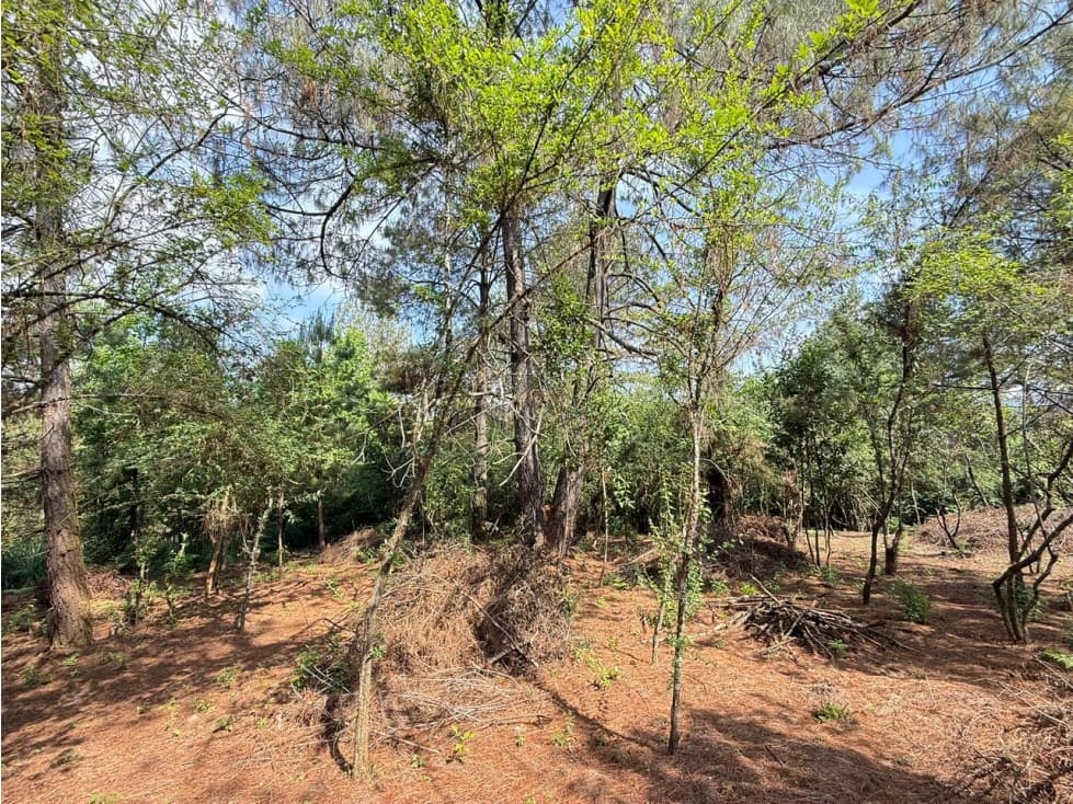 LOTE VALLE SANTANA — foto 3