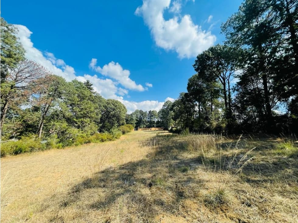 TERRENO CERRO COLORADO — foto 4
