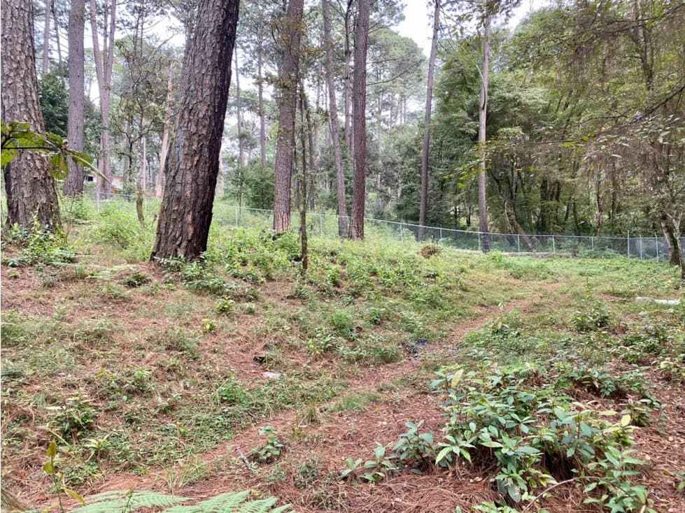 TERRENO EN VENTA AVANDARO — foto 4