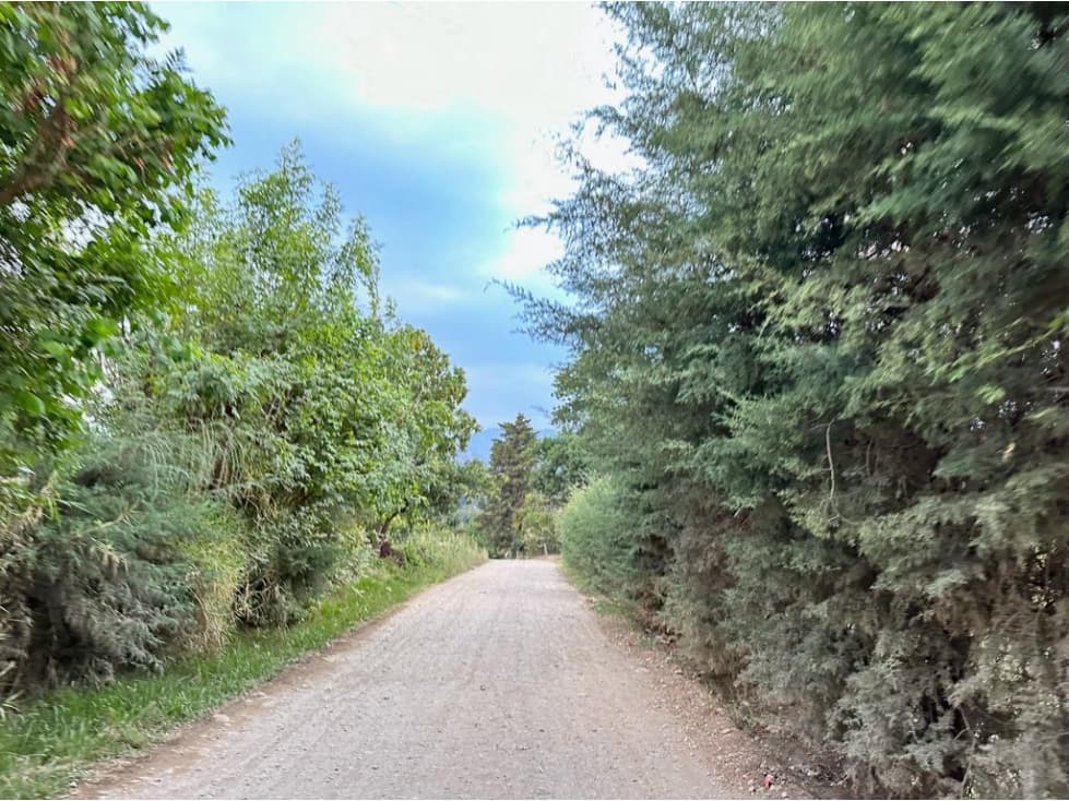 TERRENO VENTA TILOXTOC III — foto 6