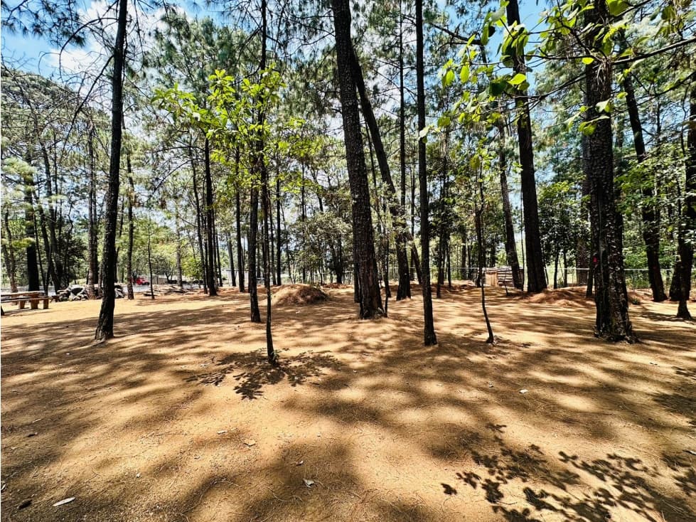 TERRENO CV — foto 4