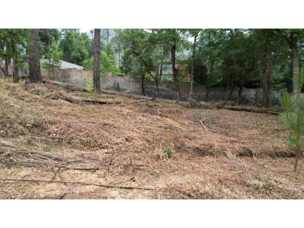 TERRENO EN VENTA OYAMEL — foto 5