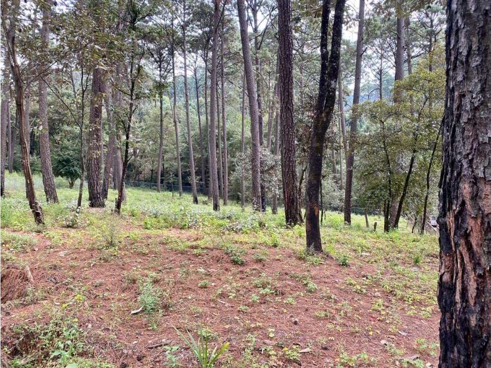 TERRENO EN VENTA AVANDARO — foto 5