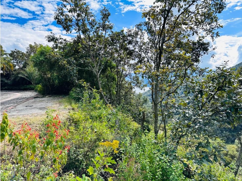 TERRENO DENTRO DE EL SANTUARIO — foto 5