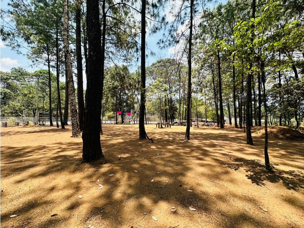 TERRENO CV — foto 5