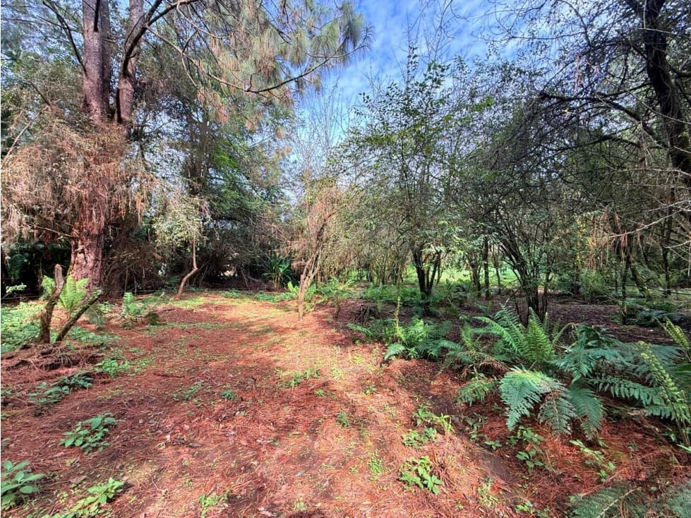 TERRENO VALLE SANTANA — foto 2