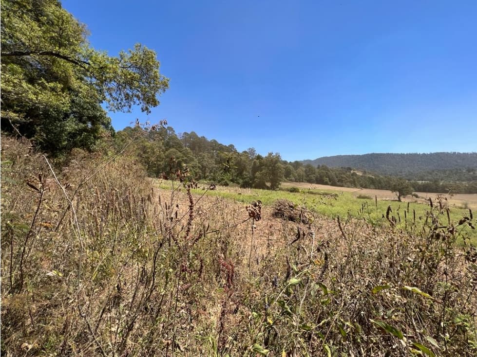 TERRENO 16 HECTÁREAS, MESA DE DOLORES, VALLE DE BRAVO — foto 5