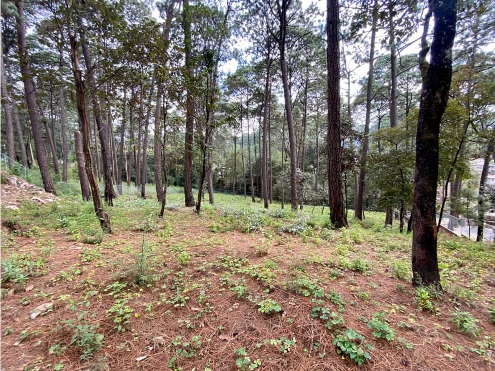 TERRENO EN VENTA AVANDARO — foto 6