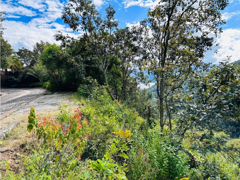TERRENO DENTRO DE EL SANTUARIO — foto 6
