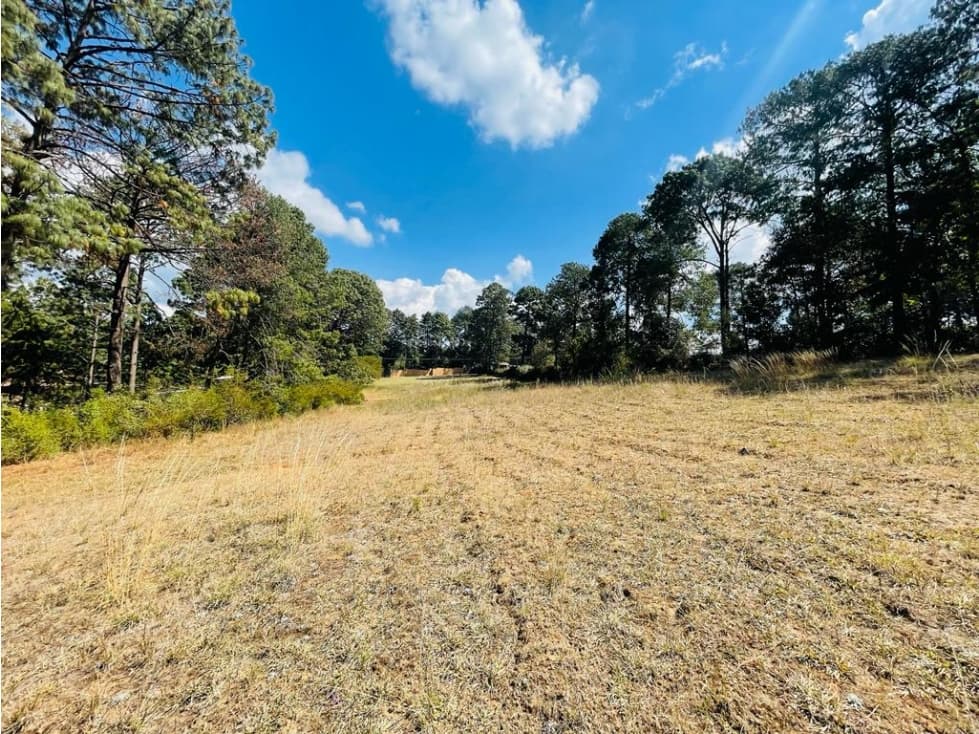 TERRENO CERRO COLORADO — foto 1