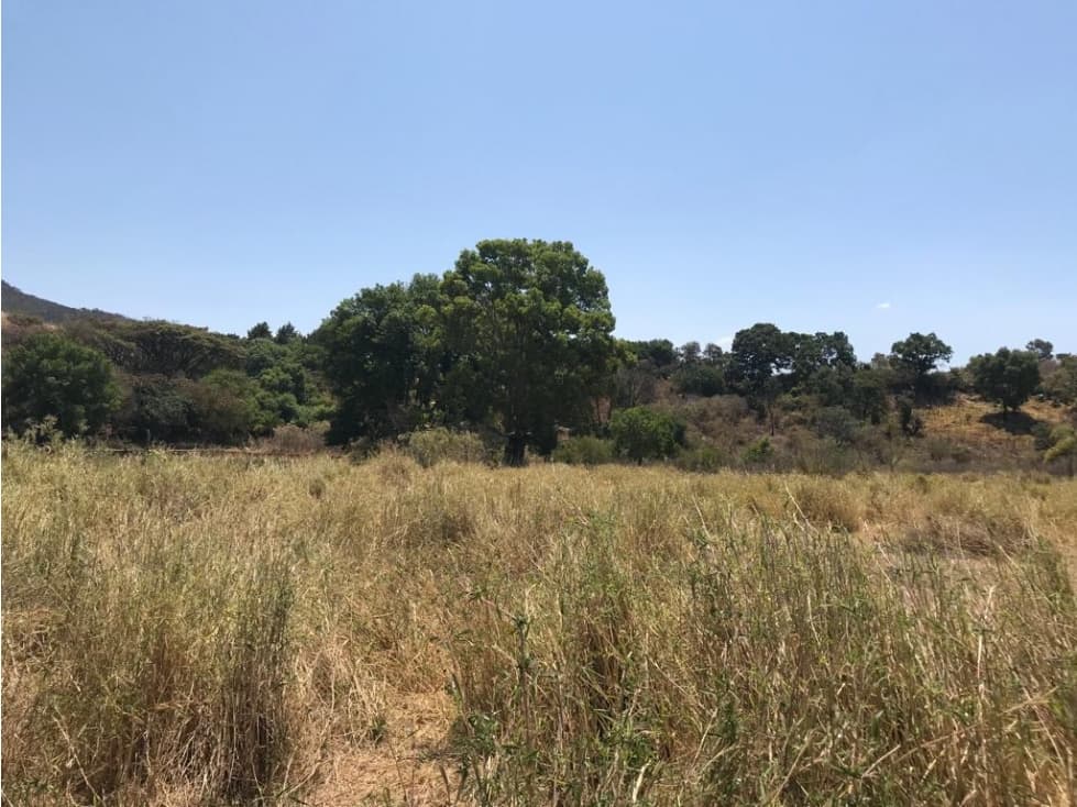 TERRENO EN VENTA SAN JUAN ATEZCAPAN — foto 2