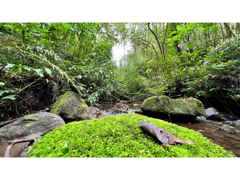 Terreno con Rio en Cerro Gordo — foto 4