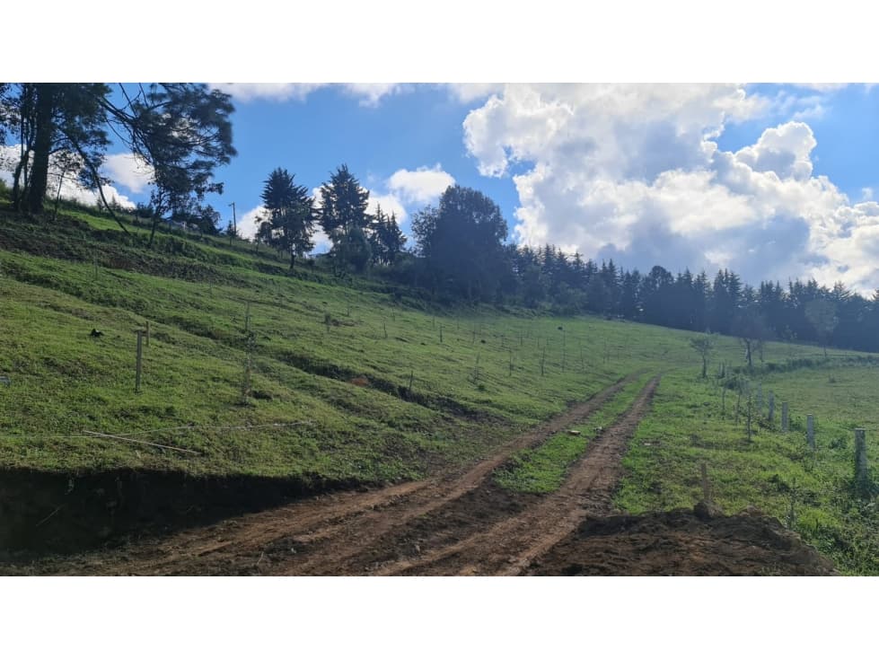 LOTE EN VENTA EN EL CASTELLANO — foto 6