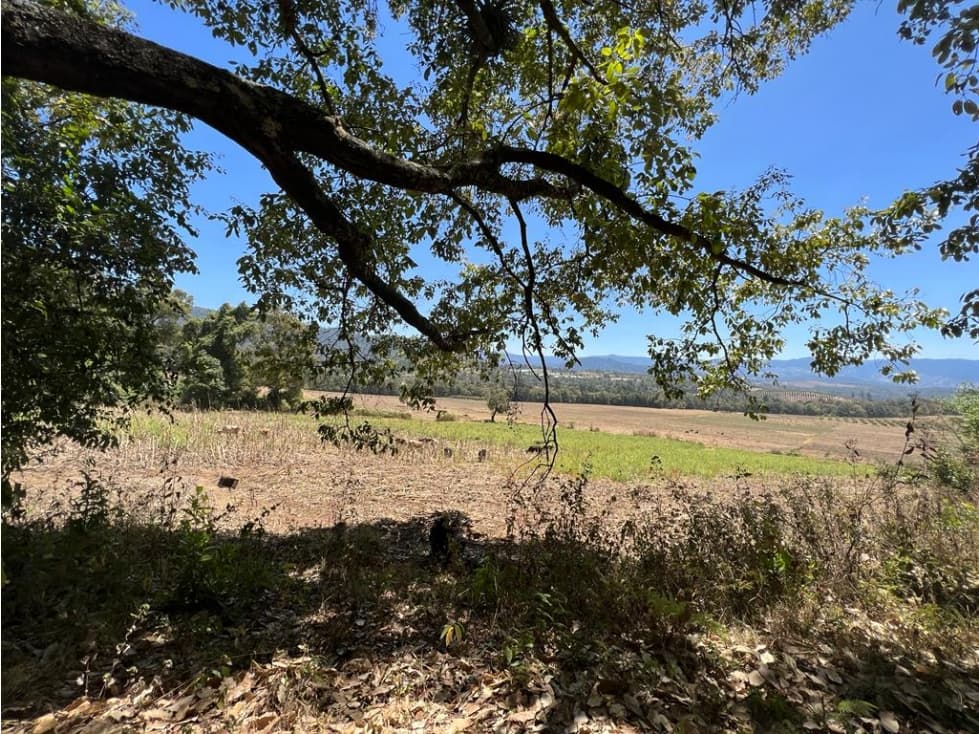 TERRENO 16 HECTÁREAS, MESA DE DOLORES, VALLE DE BRAVO — foto 6