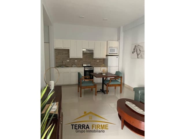 SE RENTA DEPARTAMENTO ZONA CENTRO