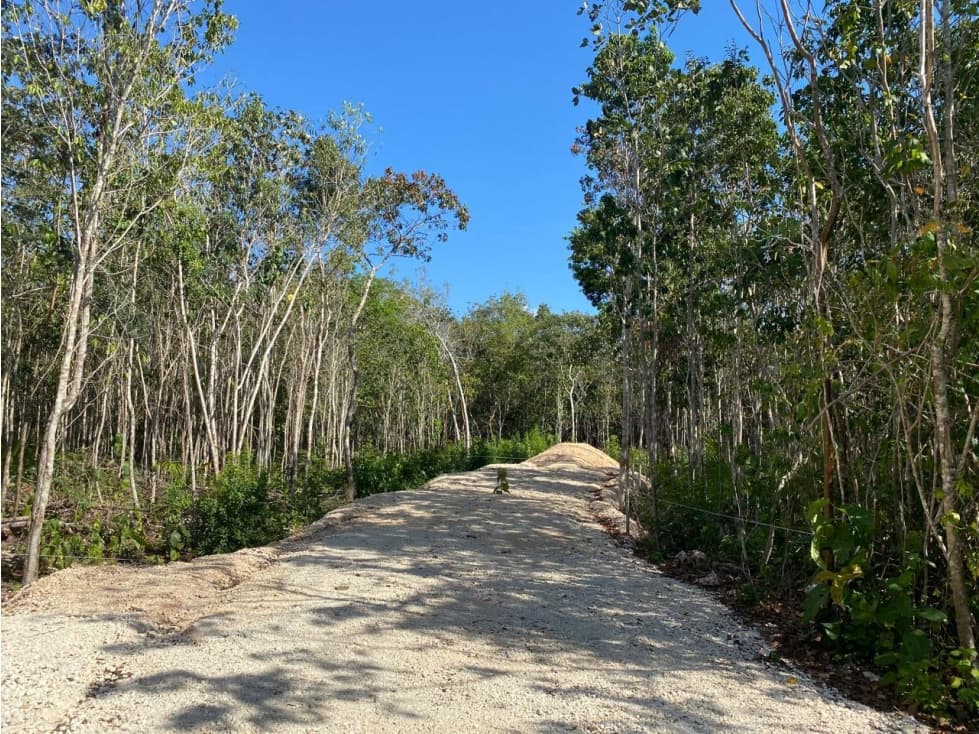 Venta Terreno Ecológico Cancun. El Pedregal 3000m2 1.1 MDP — foto 5