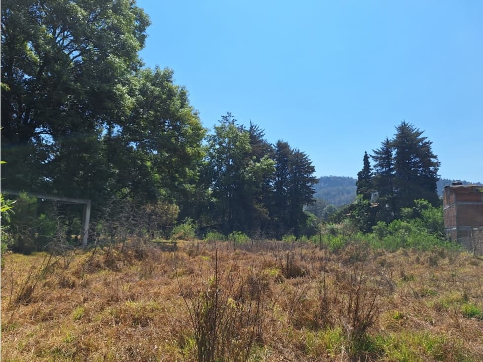 Dos terrenos en venta cerca del lago de Patzcuaro — foto 2