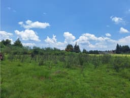 Terrenos Amplios en venta Pátzcuaro