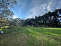 Terreno en venta subida al estribo grande Pátzcuaro