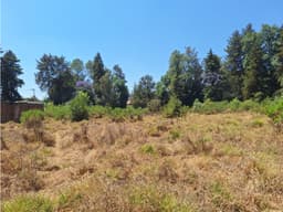 Dos terrenos en venta cerca del lago de Patzcuaro