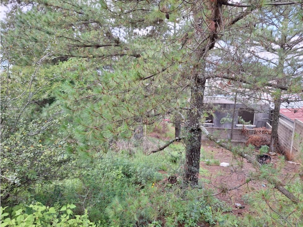 Terreno en venta en villas del sol Pátzcuaro — foto 2
