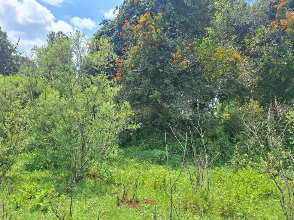 Terrenos Amplios en venta Pátzcuaro — foto 6