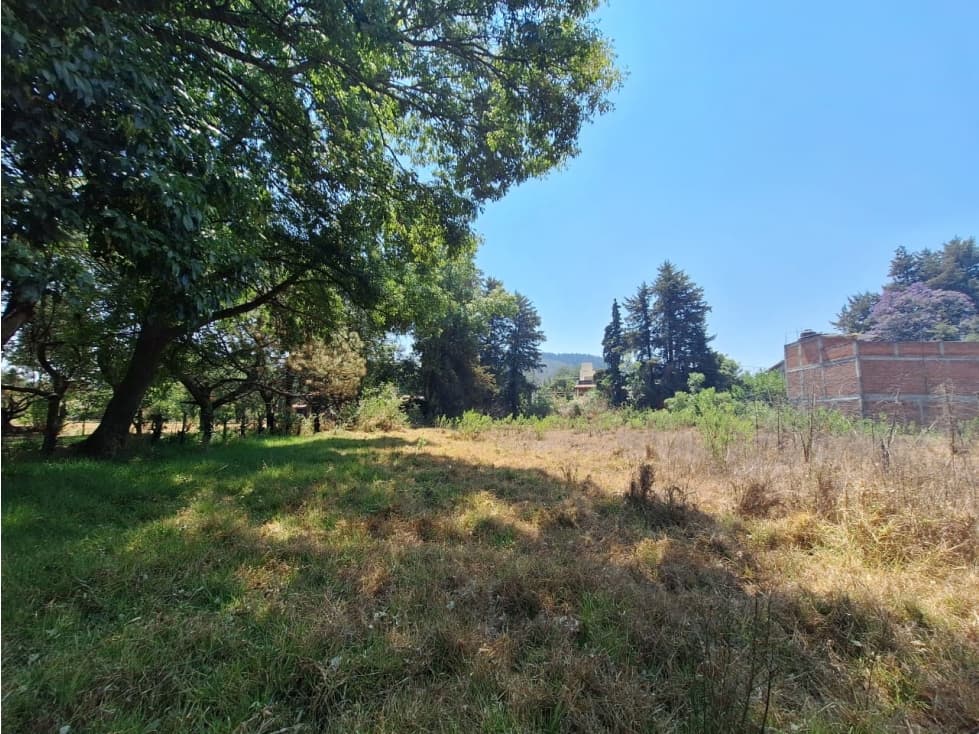 Dos terrenos en venta cerca del lago de Patzcuaro — foto 6