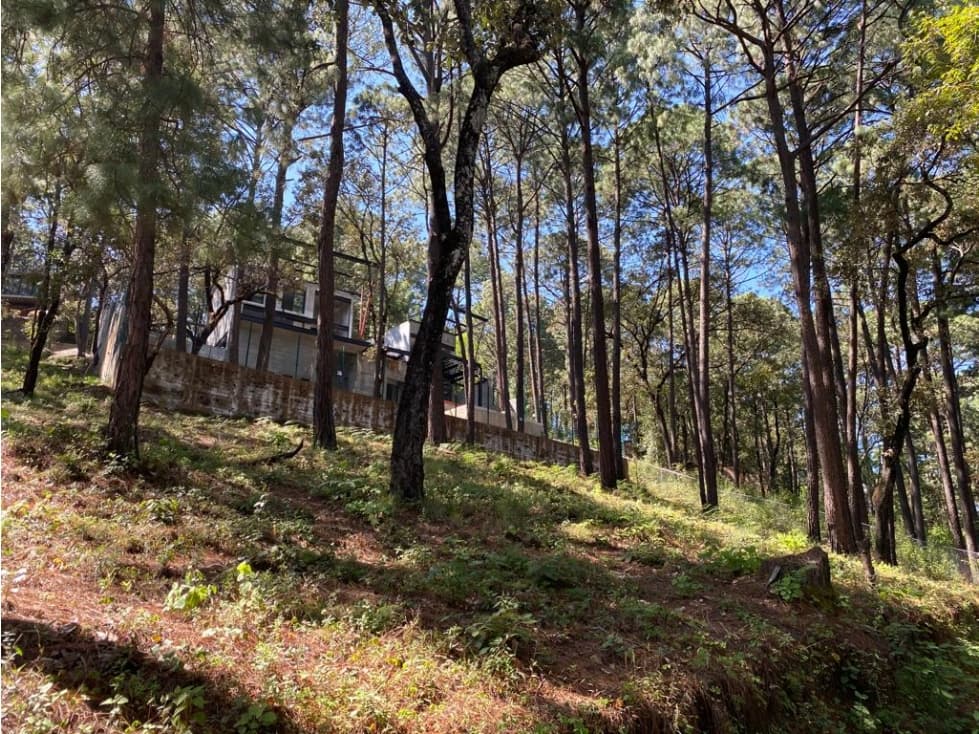 BONITO TERRENO — foto 1