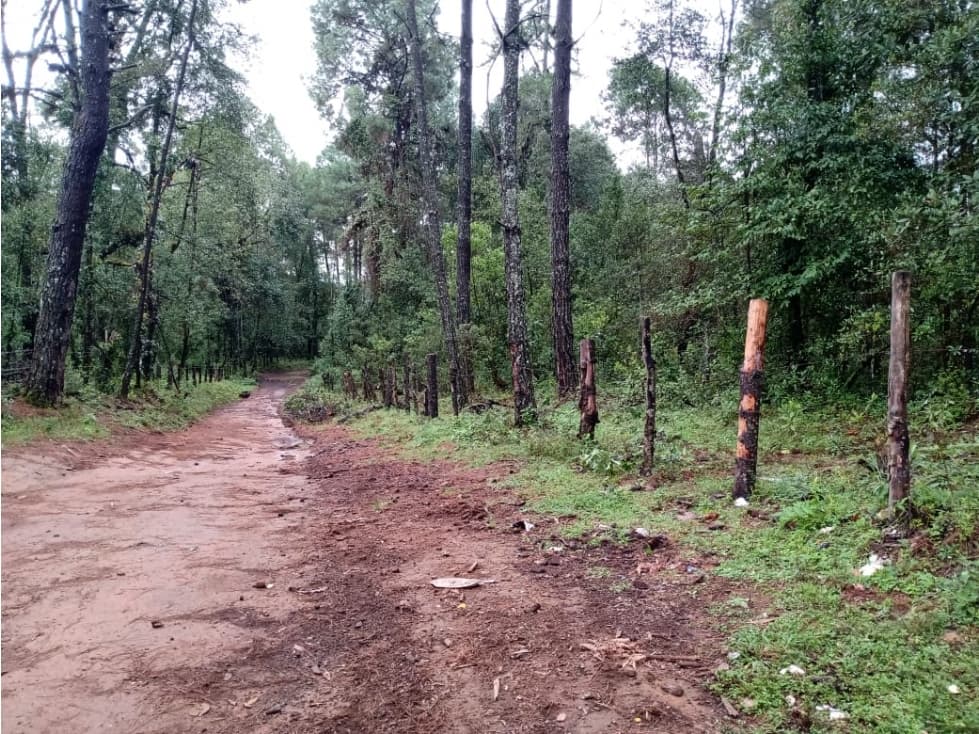 TERRENO LAS TROJES — foto 2