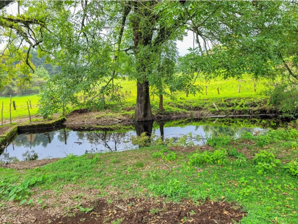 TERRENO LAS MESAS — foto 1