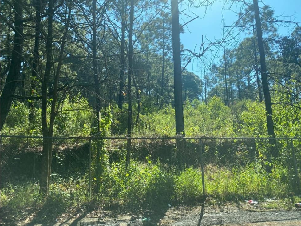 TERRENO COMERCIAL Y HABITACIONAL — foto 2