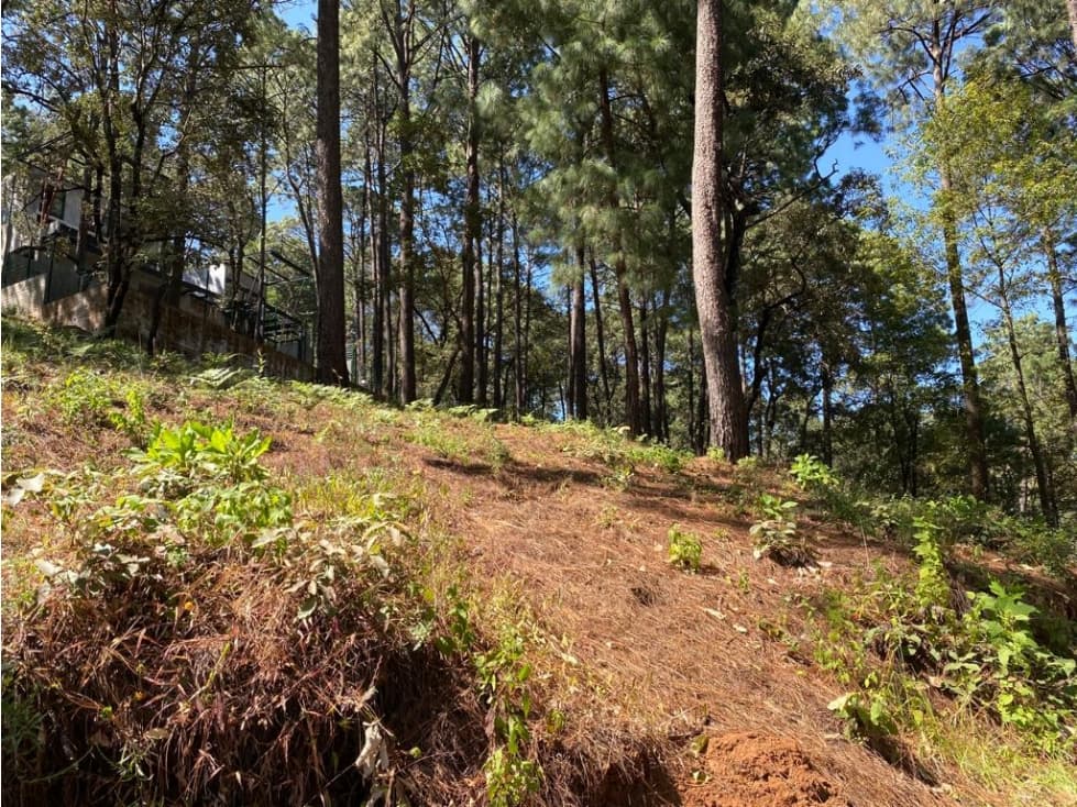 BONITO TERRENO — foto 2