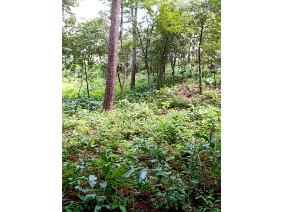 TERRENO EN CONDOMINIO UBICADO EN AVANDARO — foto 3