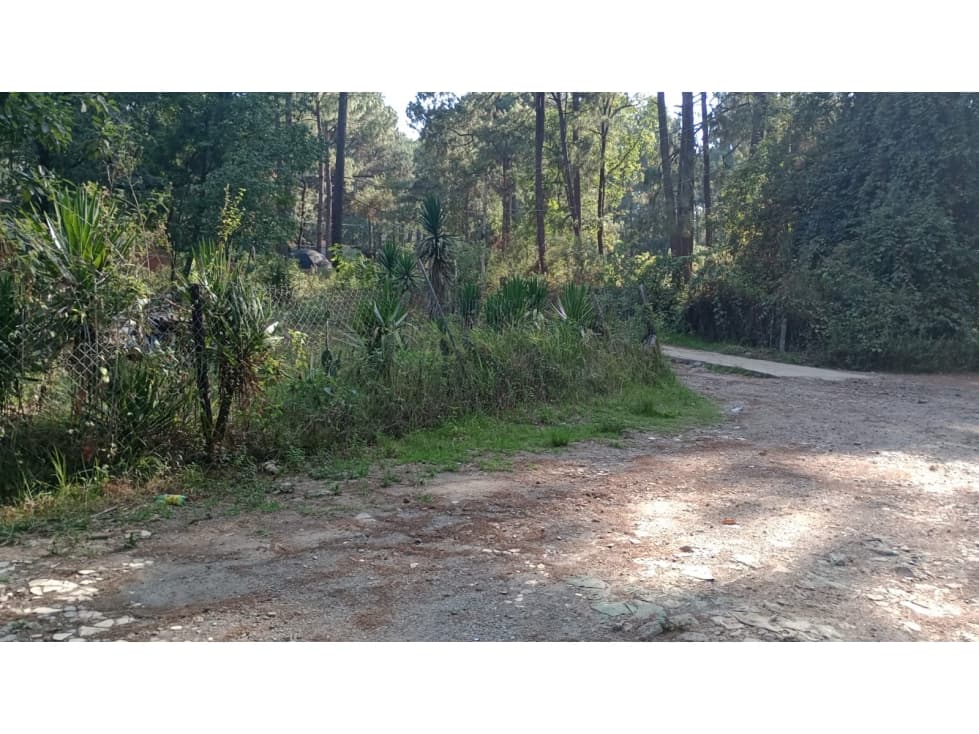 TERRENO CERRO GORDO — foto 3
